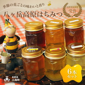 【ふるさと納税】八ヶ岳高原はちみつ6本セット