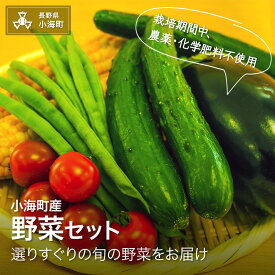 【ふるさと納税】小海産野菜セット【2026年7月から順次発送 先行予約】［さかまき農園］