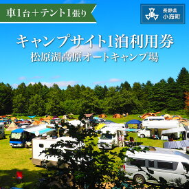 【ふるさと納税】松原湖高原オートキャンプ場特別ご優待券| キャンプ 松原湖