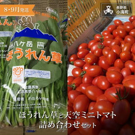 【ふるさと納税】わたらい農場　ほうれん草・天空ミニトマト詰め合わせセット| 野菜 新鮮 旬 新鮮 高原野菜 根菜 【 2026年発送 先行予約 】