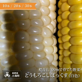 【ふるさと納税】あとくら農園 トウモロコシぼっくす（白色）| 野菜 新鮮 旬 トウモロコシ 10本 20本 30本【 2026年発送 先行予約 】