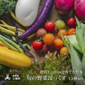 【ふるさと納税】あとくら農園 旬の野菜ぼっくす13種セット| 野菜 新鮮 旬 新鮮 高原野菜 根菜 【 2026年発送 先行予約 】