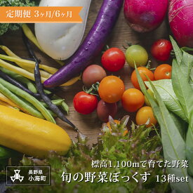 【ふるさと納税】定期便 あとくら農園 旬の野菜ぼっくす13種セット| 野菜 新鮮 旬 新鮮 高原野菜 根菜 【 2026年発送 先行予約 】