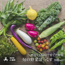 【ふるさと納税】あとくら農園 旬の野菜ぼっくす9種セット| 野菜 新鮮 旬 新鮮 高原野菜 根菜 【 2026年発送 先行予約 】