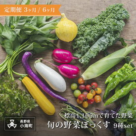 【ふるさと納税】定期便 あとくら農園 旬の野菜ぼっくす9種セット| 野菜 新鮮 旬 新鮮 高原野菜 根菜 【 2026年発送 先行予約 】
