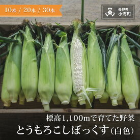 【ふるさと納税】あとくら農園 トウモロコシぼっくす（白色）| 野菜 新鮮 旬 トウモロコシ 10本 20本 30本【 2026年発送 先行予約 】