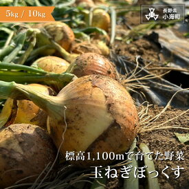 【ふるさと納税】あとくら農園 玉ねぎぼっくす| 野菜 新鮮 旬 玉ねぎ 10kg 5kg【 2026年発送 先行予約 】