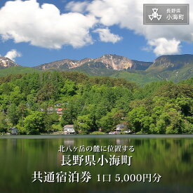 【ふるさと納税】小海町共通宿泊券 1口5000円分| 長野県小海町