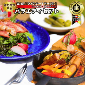 【ふるさと納税】生ハムも！ウインナーも！ベーコンも！　信州　きたやつハムセット　バラエティセット（ベーコン（ブロック） + ウインナー2種 + 生ハム2種 + サラミ）[KH-108]