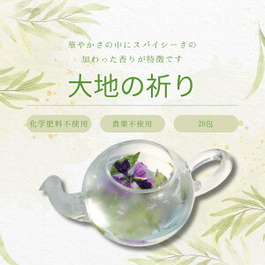yӂ邳Ɣ[ŁzeBt@[@n[ueBun̋Fv20iz[[oWA}Ej[LF-113]