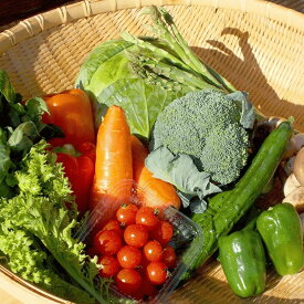 【ふるさと納税】新鮮野菜セット（6～8品セット）信州野菜 [CH-111]