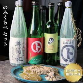 【ふるさと納税】信州　井筒長 　日本酒のみくらべセット（酒6種×粕漬2種）[KU-101]