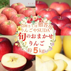 【ふるさと納税】農園にお任せ旬のリンゴ 5kg入り贈答箱【100箱　限定品】〔RS-04〕
