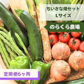 【ふるさと納税】≪先行受付≫定期便6カ月　ちいさな畑セット（Lサイズ　3～4人前）（NK-T508）
