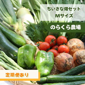 【ふるさと納税】【先行受付】≪定期便あり≫のらくら農場　信州北八ヶ岳からお届け～ちいさな畑セット～（Mサイズ　2～3人前）[NK-101]