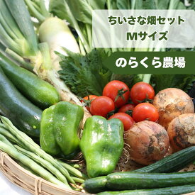 【ふるさと納税】のらくら農場　信州北八ヶ岳からお届け～ちいさな畑セット～（Mサイズ　2～3人前）有機野菜[NK-101]