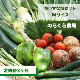 【ふるさと納税】≪先行受付≫定期便3カ月　有機野菜ちいさな畑セット（Mサイズ　2～3人前）（NK-T502）