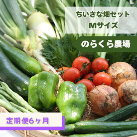 【ふるさと納税】≪先行受付≫定期便6カ月　有機野菜ちいさな畑セット（Mサイズ　2～3人前）（NK-T504）