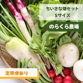 【ふるさと納税】【先行受付】≪定期便あり≫のらくら農場　信州北八ヶ岳からお届け～ちいさな畑セット～（Sサイズ　1～2人前）[NK-120]