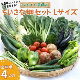 【ふるさと納税】定期便　4カ月　信州北八ヶ岳からお届け～ちいさな畑セット～（Lサイズ　3～4人前）有機野菜〔NK-02-4〕