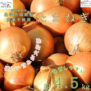 yӂ邳Ɣ[Łzh{ReXgܗ𑽐Î炭_̂ʂ˂@4.5kg@mNK-117n