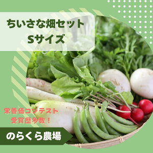 yӂ邳Ɣ[Łẑ炭_@MBkx炨͂`ȔZbg`iSTCY@1`2lOj[NK-120]