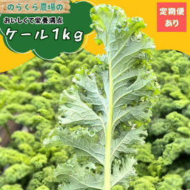 【ふるさと納税】のらくら農場　ケール1kg [NK-121]