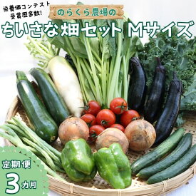 【ふるさと納税】定期便3カ月　有機野菜ちいさな畑セット（Mサイズ　2～3人前）（NK-T502）