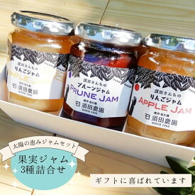 【ふるさと納税】須田農園　果実ジャム3種詰合せセット（りんごジャム：シナノゴールド　りんごジャム：紅玉　プルーンジャム）[SU-107]