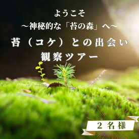 【ふるさと納税】青苔荘　苔（コケ）との出会い　観察ツアー優待券　2名様用[SE-102]