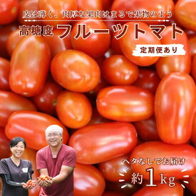【ふるさと納税】（2026年先行受付）こさゆと農園の高糖度フルーツトマト　1キロ　朝採れ　完熟ミニトマト　ヘタなしトマト[KY-101]
