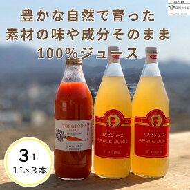 【ふるさと納税】信州産　果汁100％りんごジュース　2本＆「食べる」まるごと人参ジュースセット　1本　計3本[SU-104]