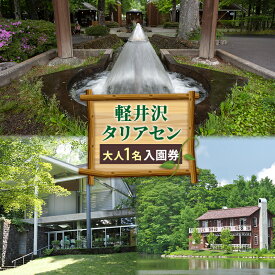 【ふるさと納税】軽井沢タリアセン　大人1名　入園券 チケット 入場券 優待券 塩沢湖 美術館 レストラン 買い物 ショップ リゾート 自然 リラックス