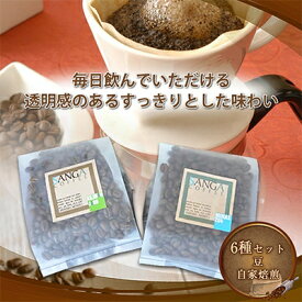 【ふるさと納税】サンガコーヒー〈豆〉100g×6種【1070089】