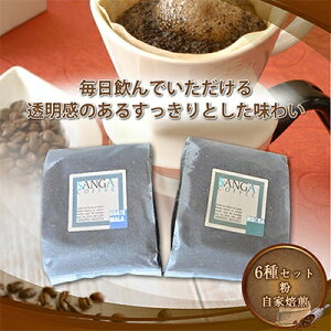 yӂ邳Ɣ[ŁzTKR[q[qr100g×6y1070090z