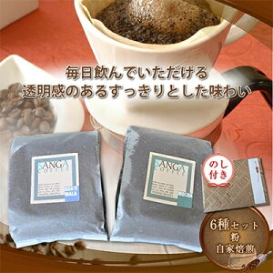 yӂ邳Ɣ[ŁzŷtzTKR[q[qr100g×6y1097802z