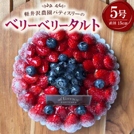【ふるさと納税】【2026年発送】【冷凍】軽井沢農園パティスリーからベリーベリータルト5号【配送不可地域：離島】【1615744】