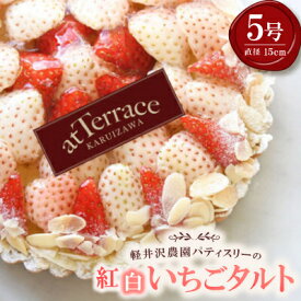 【ふるさと納税】【先行予約】【冷蔵】軽井沢農園パティスリーから自慢の紅白いちごタルト　5号サイズ【配送不可地域：離島・北海道・沖縄県】【1615745】