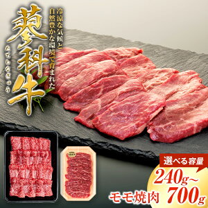 yӂ邳Ɣ[Łz ȋ ē120gi2`4pbNjA350gi1`2pbNj | Y     ē Ă  BBQ o[xL[  O ȋ ӂ邳 MB 쌧 Ȓ 