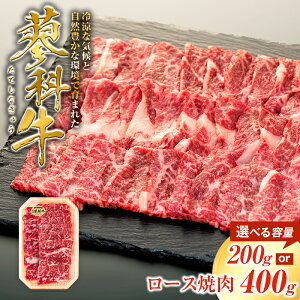 yӂ邳Ɣ[Łz ȋ [Xē200gi1`2pbNj | Y     ē Ă [X BBQ o[xL[  O ȋ ӂ邳 MB 쌧 Ȓ 