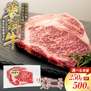 yӂ邳Ɣ[Łzȋ u[XXe[Li250×1`2pbNj | Y     Xe[L u[X [X  O ȋ ӂ邳 MB 쌧 Ȓ 