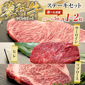 yӂ邳Ɣ[ŁzȋXe[LZbgiu[X250g×1pbNAT[C200g×1pbNAq120g×1pbNj | Y     Xe[L ȋ ӂ邳 MB 쌧 Ȓ 