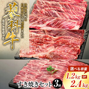 yӂ邳Ɣ[ŁzȋĂZbgi[XXCX400g×1pbNAEfXCX400g×1pbNAXCX400g×1pbNj | Y     Ă ȋ ӂ邳 MB 