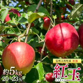 【ふるさと納税】 紅玉（約5kg、優20～23玉）| 果物 フルーツ りんご 紅玉 信州 立科町