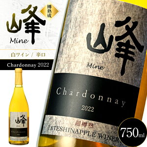 yӂ邳Ɣ[ŁzĂȃbvC@Vhl2022 | C Vhl  AR[ ĂȃbvCi[ 샏C Ȓ 쌧