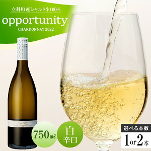 yӂ邳Ɣ[Łz C hopportunityh i2022Nj |  AR[ C  ʎ Y ӂ邳 MB 쌧 Ȓ 