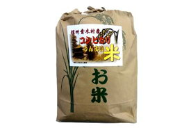 【ふるさと納税】青木村産こしひかり10kg（令和7年産）