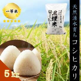 【ふるさと納税】令和7年産 コシヒカリ5キロ(5kg×1袋)　天然の軟水「黒耀水」育ちのお米 長野県長和町産 農家直送 一等米精白米