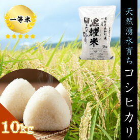 【ふるさと納税】令和7年産 コシヒカリ10キロ(5kg×2袋)　天然の軟水「黒耀水」育ちのお米 長野県長和町産 農家直送 一等米精白米