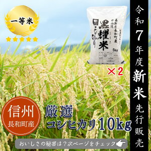 �y�ӂ邳�Ɣ[�Łz�y�ߘa7�N�x�V�āz2025�N9��10�����n�@�R�V�q�J��10kg�i5kg×2�܌�j2025�N11�����{�E12�����{����s�\��@�M�B���a���Y�@���쌧�Y�@�ꓙ�ā@���͂��F2025�N11�����{�`2026�N1